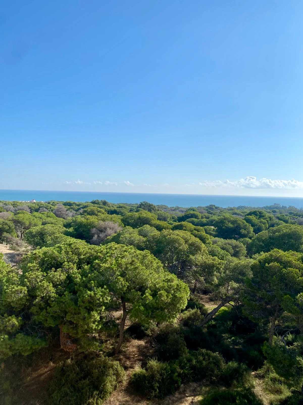 apartment-guardamar-del-segura-alicante-94-m2-14