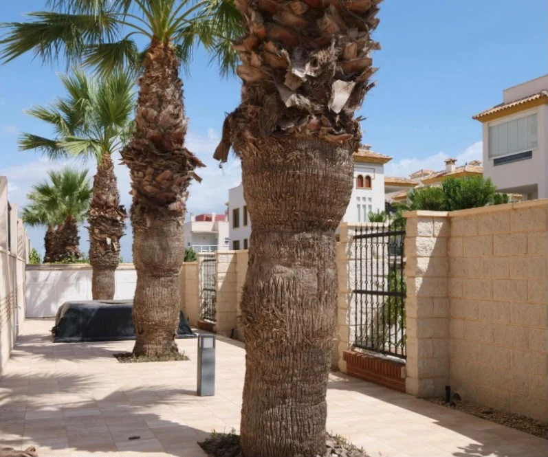 apartment-guardamar-del-segura-alicante-99-m2-15