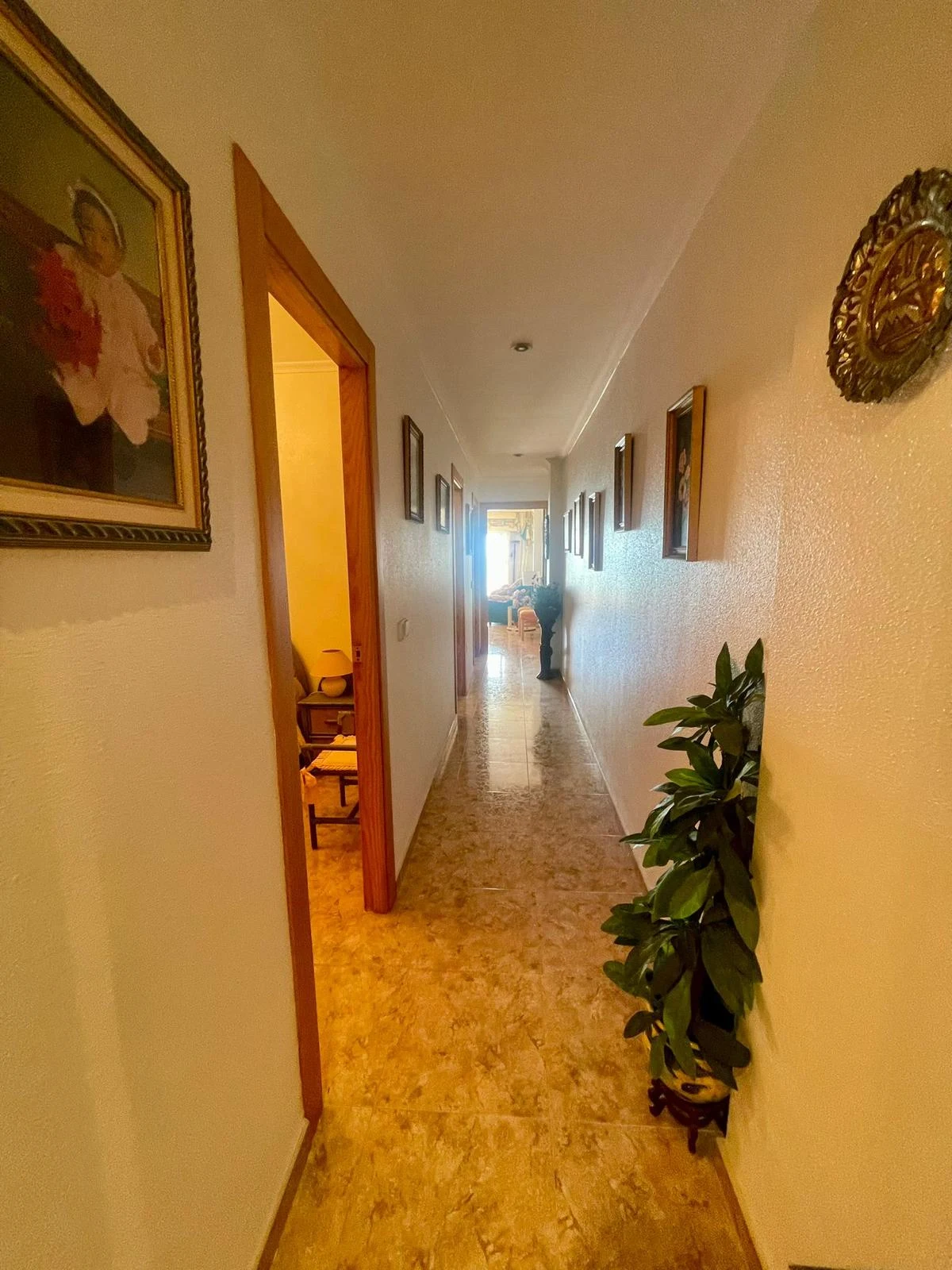 apartment-torrevieja-alicante-99-m2-10