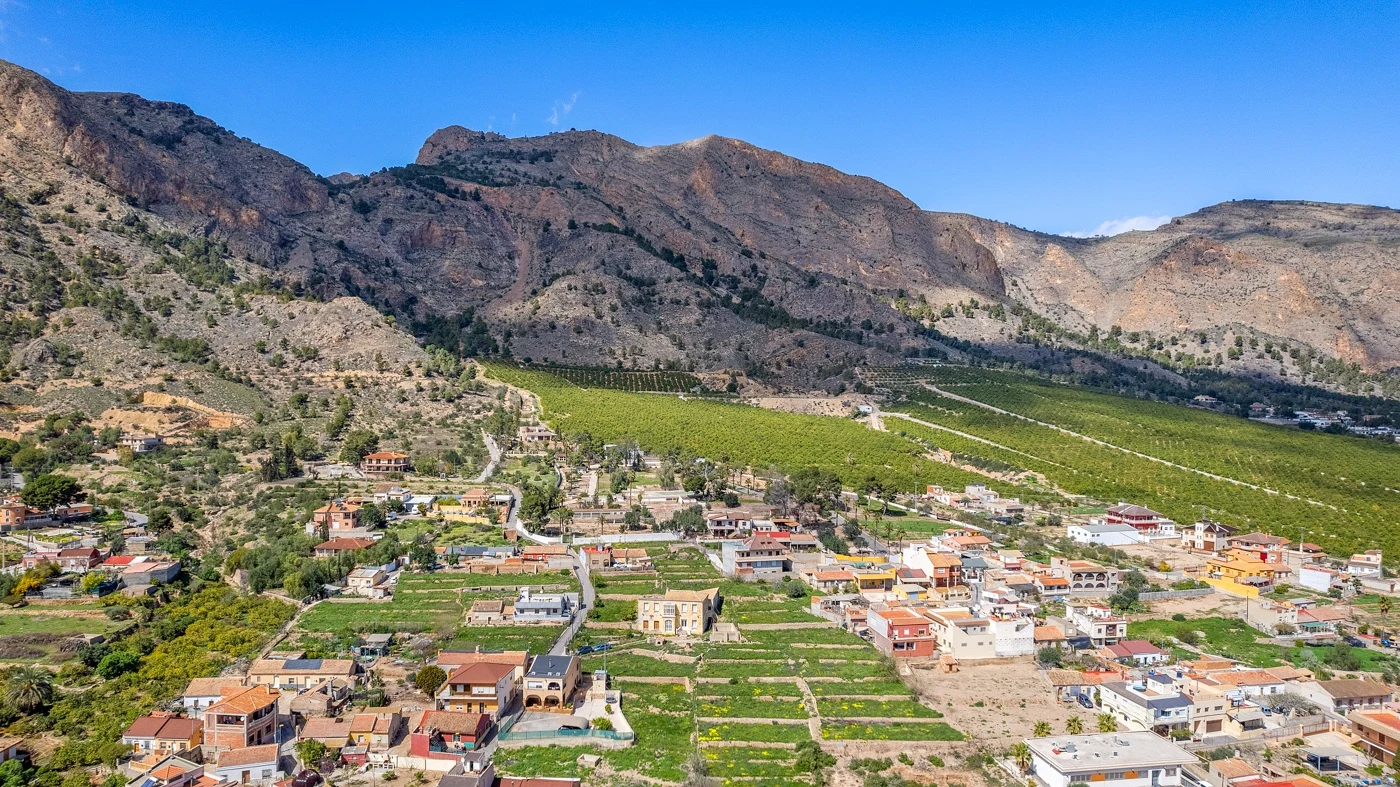 finca-orihuela-alicante-431-m2-05