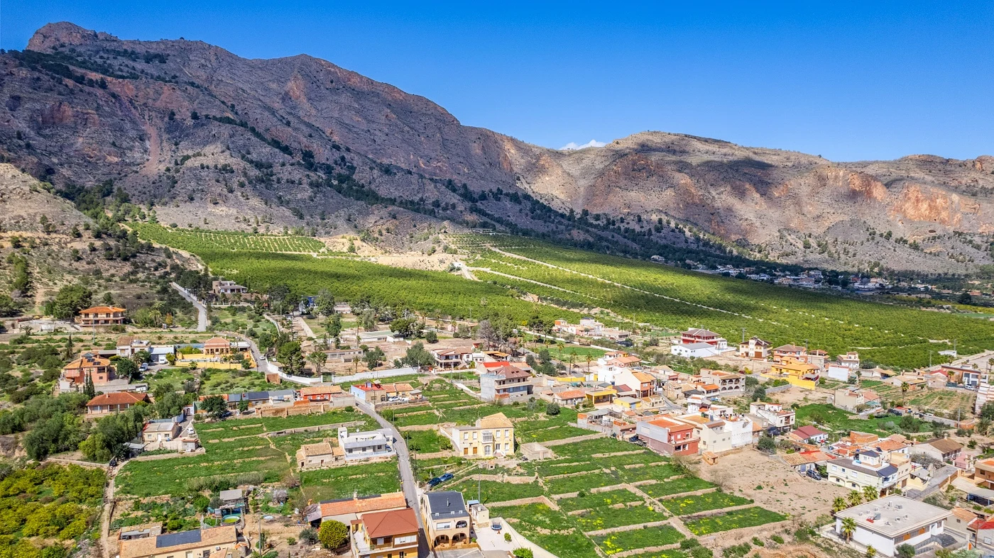 finca-orihuela-alicante-431-m2-06