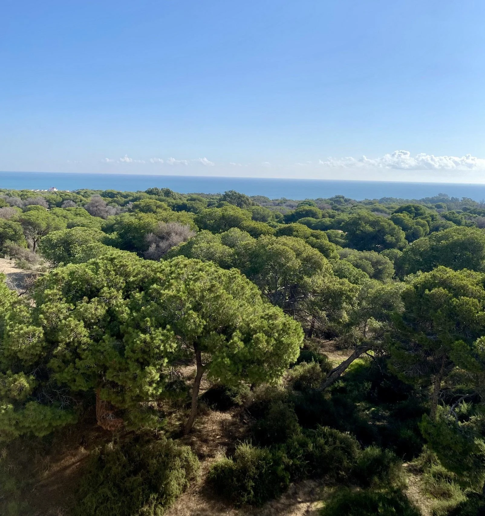 apartment-guardamar-del-segura-alicante-94-m2-2-16