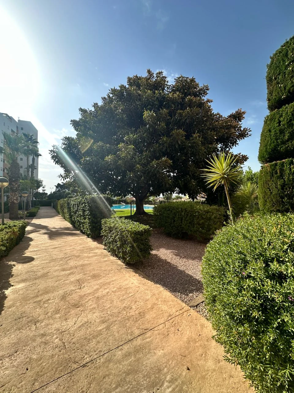 apartment-guardamar-del-segura-alicante-98-m2-14