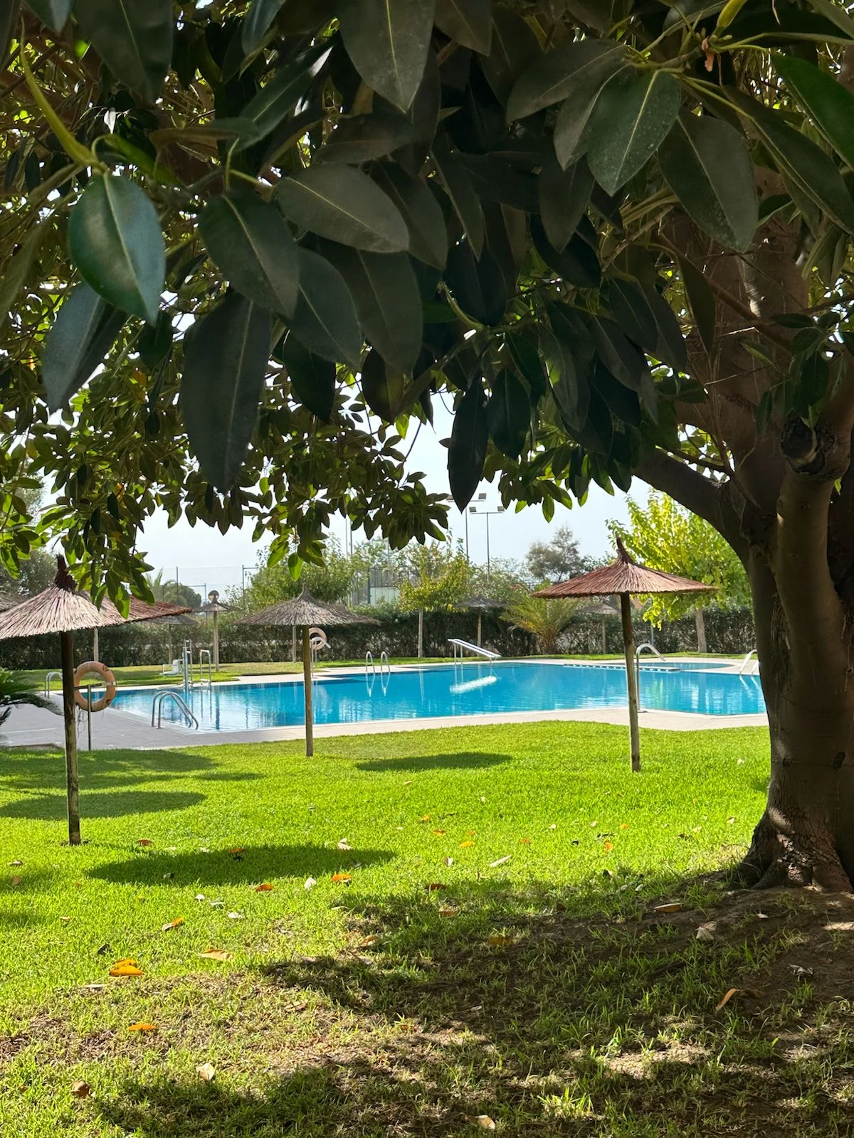 apartment-guardamar-del-segura-alicante-98-m2-16
