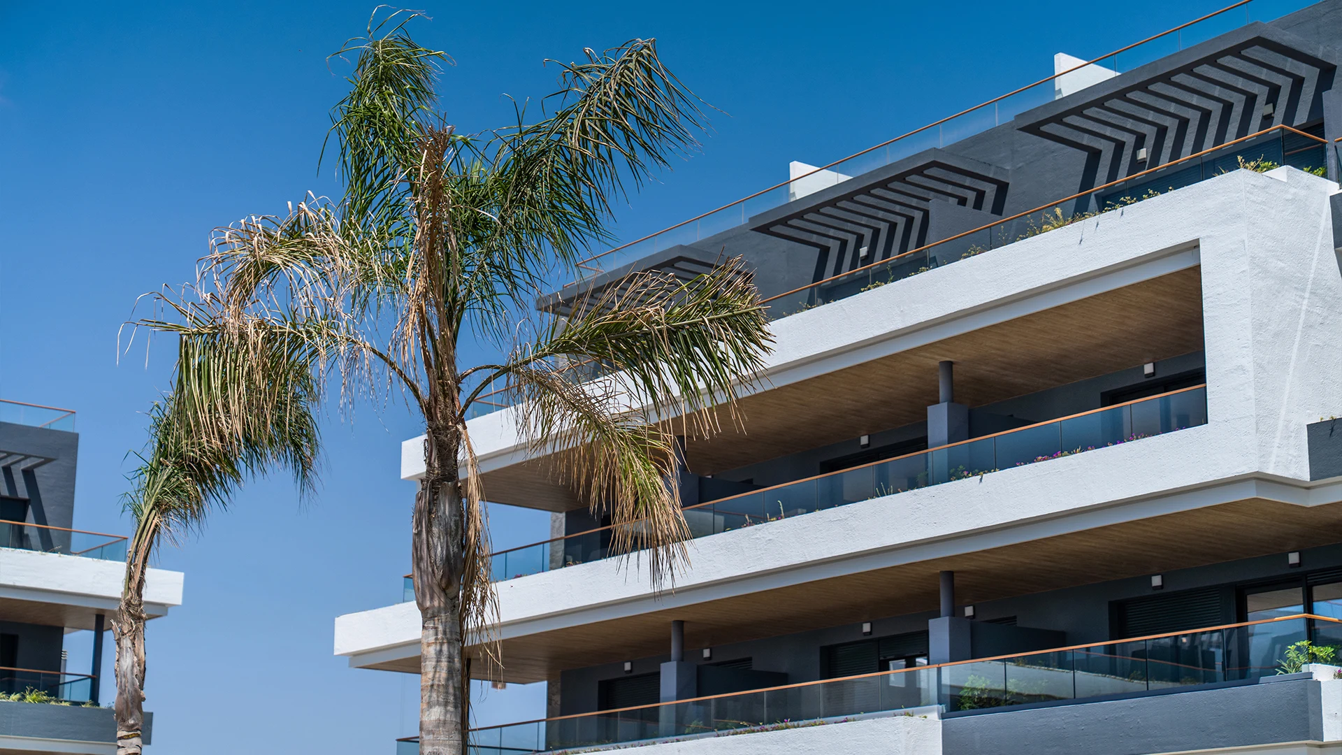 apartment-torrevieja-alicante-alicante-138-m2-2-13