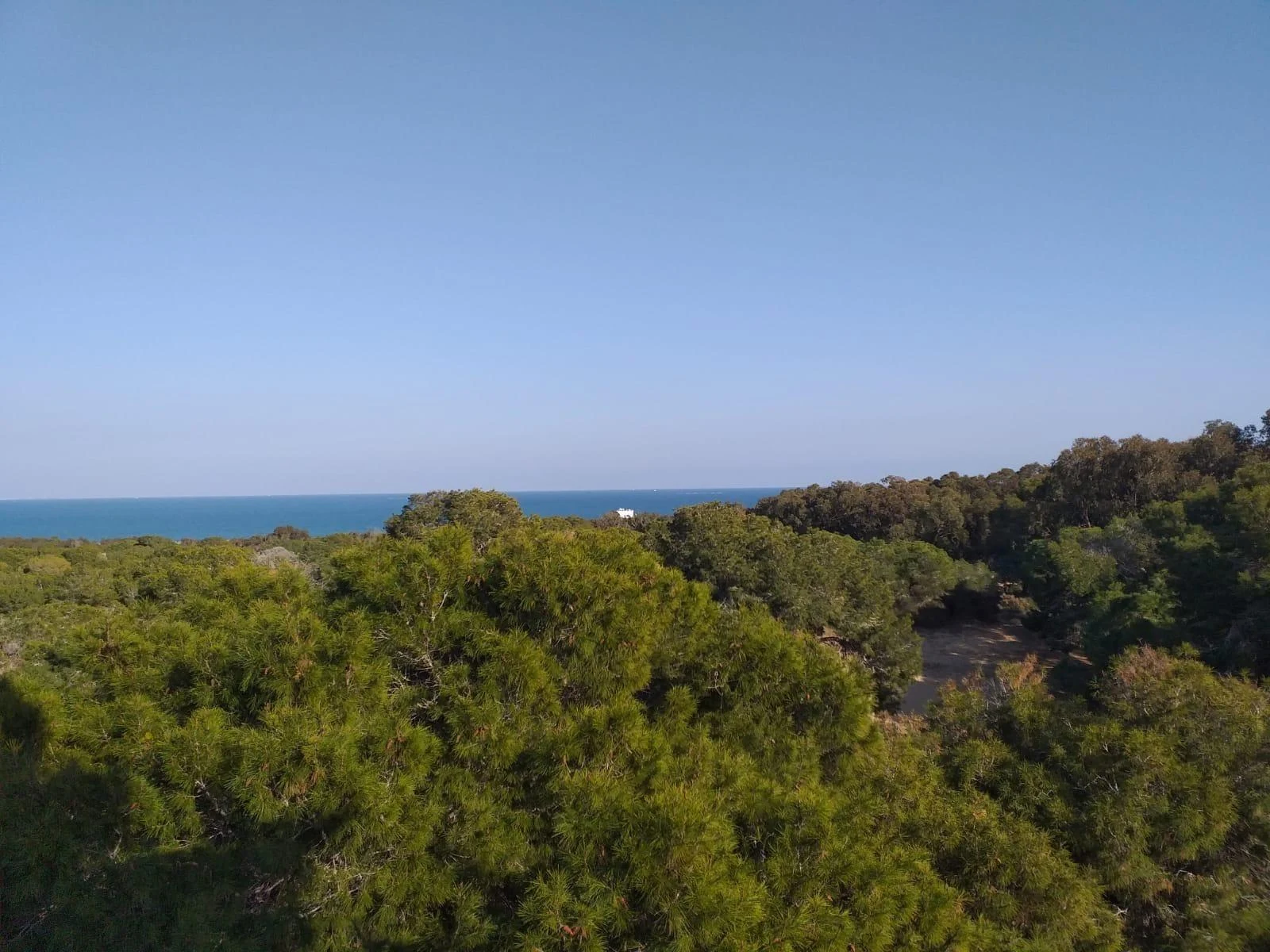 penthouse-guardamar-del-segura-alicante-136-m2-13
