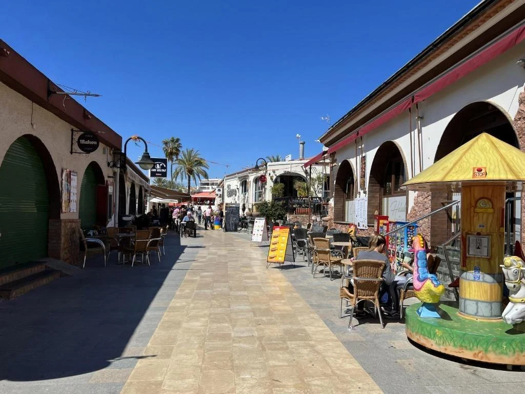 villa-pilar-de-la-horadada-alicante-131-m2-10