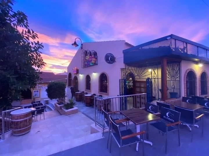 villa-pilar-de-la-horadada-alicante-131-m2-11